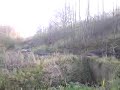 MOV00189.MP4