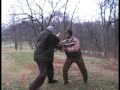 baguazhang-millstone-pushingposture.html