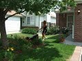 Niccole mows her lawn