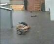 Wasted kogler Lasse Tolboell