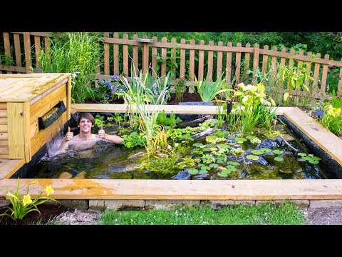 YouTube reptile video