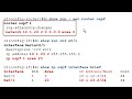 Each interface running OSPF needs to be assigned to an OSPF area. There are actually two ways to accomplish this. In this lesson we will look at the interfac...