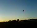 Icarus kite Icarus kite