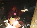 Bishnoi Village