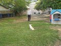 Erik and Kiko Playing Erik and Kiko Playing
