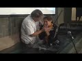Baptism 2008