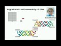 Paul Rothemund: The astonishing promise of DNA folding Paul Rothemund: The astonishing promise of DNA folding