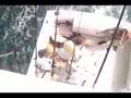 YouTube - 70 lb Cobia 50 lb Kid