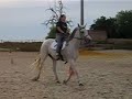 rallye-cheval.html
