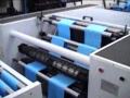 Click here to watch this video PEXFR700-LIXO-2PISTAS