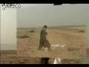 Push Hands - youku