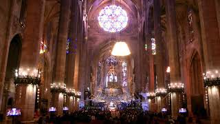 Missa de l’Estendard 2022 Missa de l’Estendard 2022