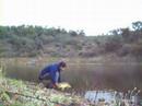 carpa 6kg libertar
