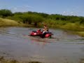 arcitc cat mudding in alton tx