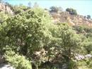Recull fotogràfic de 3 excursions per l'interior de Castelló: Una en bici per la Serra d'Espadà i dues a Vallibona, a un paratge anomenat Molí d'En Rico. En les dues vam fer diversos 
