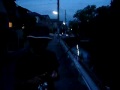 楽しいコイ釣り。