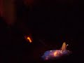 sambuka me kanela sto insomnia tis naoussa / paros