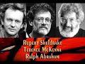 terence-mckenna-prague-gnosis-1992-p913.html