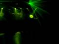 videos de Sky Vibe - kaFFe Beat'S By FRT