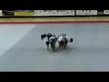 Gimnasia R�tmica Discapacitados Intelectuales.
