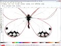 Tracing the butterfly image