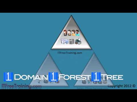 how to view file tree