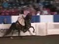 US Half-Arabian Mounted Native Costume Section A US Half-Arabian Mounted Native Costume Section A