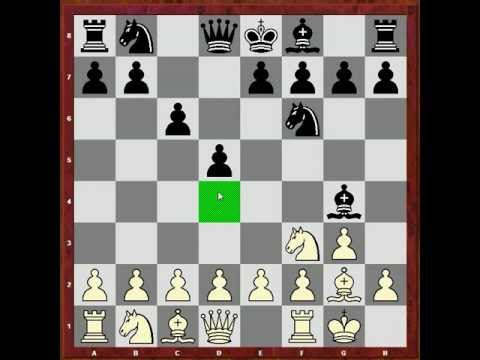 magnus carlsen