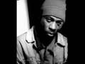 Gza - B.I.B.L.E