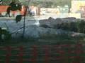 ICC Big Tree menaced by construction
