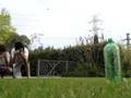 balka shoot out casting