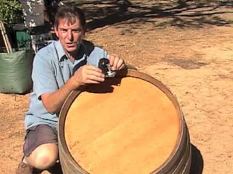 Growing Fruit Trees in Pots - Part 1