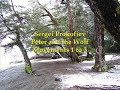 Peter and the Wolf