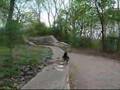 Nebelkrähe im Volkspark Friedrichshain am 17.04.07