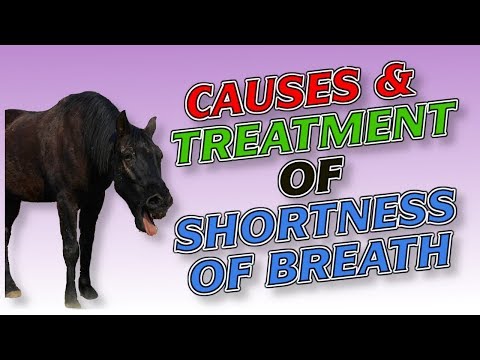 how to treat shortness of breath