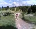 cirano training