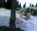 cirano training