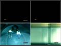 videos de Shuyin and The song of death 2