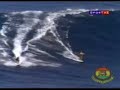 ponto de equilibrio arvore do reggae ao vivo zona de impacto