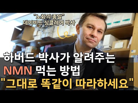 NMN, 하루 복용량은 얼마? 언제 먹어야 할까? 싱클레어 박사가 알려드립니다.