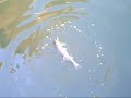 Snoek-it - Snoekbaars Part 1 Snoek-it - Snoekbaars Part 1