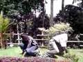 kick me!(pattu)