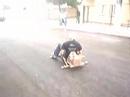treino 1� GP UTFPR CP