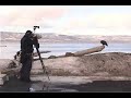 The Eagles of Homer-A Story inspired by Jean Keene-