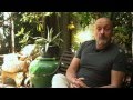 Tim Presents Daffodil