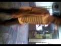 david bailando david bailando