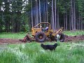 Jack skids the stump piles together