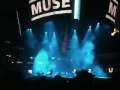 Muse hysteria