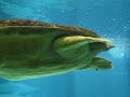 under water