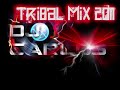 TRIBAL MIX 2011 #4 (DJ Carlos)